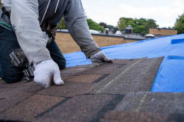 Roof Waterproofing Services in Corsicana, TX
